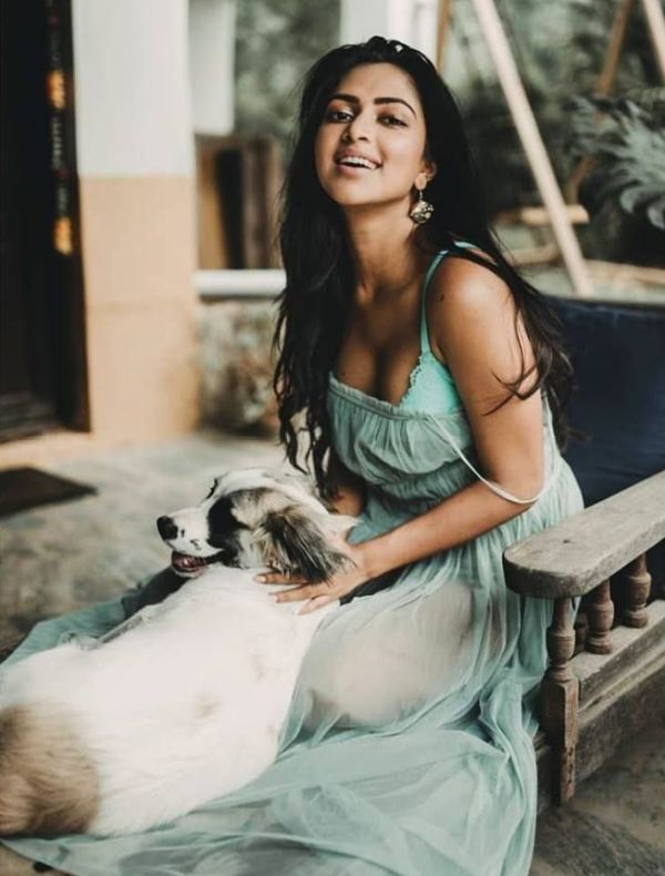 amalapaul-cinemapettai-01