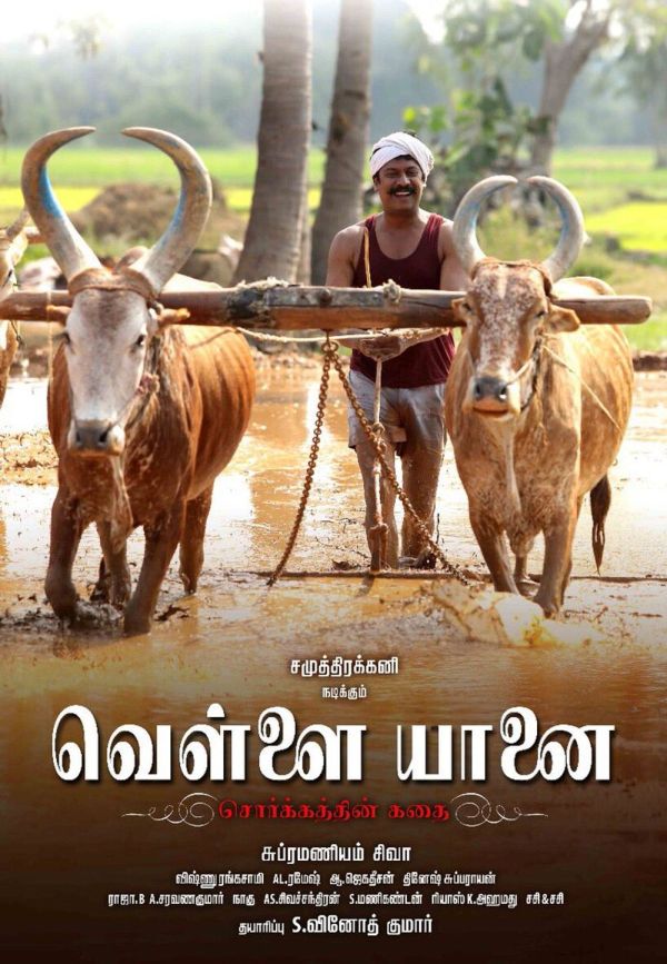 vellai-yaanai-cinemapettai