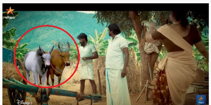 muthalaghu-vijaytv