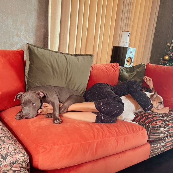 samantha-dog